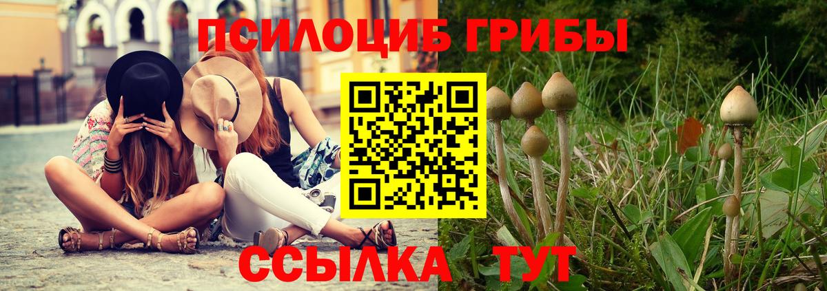 Галлюциногенные грибы Psilocybe  Вход с VPN  магазин продажи наркотиков  Галлюциногенные грибы прущие грибы  Якутск 